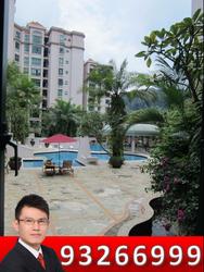 The Hillside (D21), Condominium #61635712